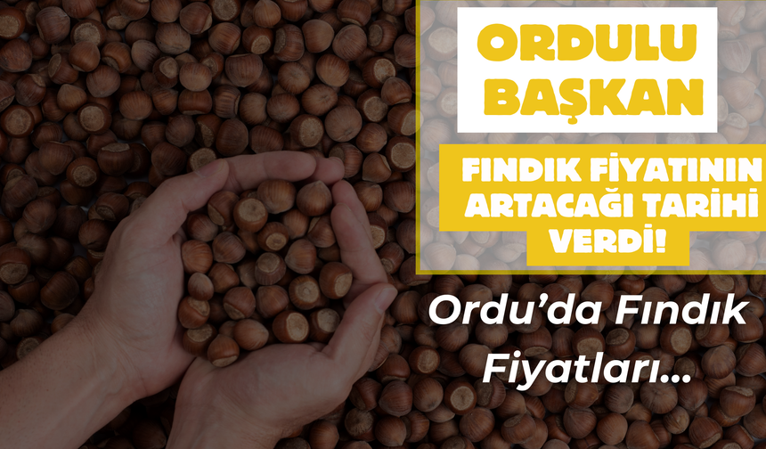 Ordulu Başkan Fındık Fiyatının Artacağı Tarihi Verdi! Ordu’da Fındık Fiyatları…