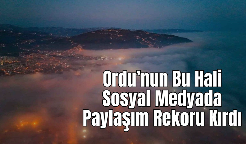 Ordu’nun Bu Hali Sosyal Medyada Paylaşım Rekoru Kırdı