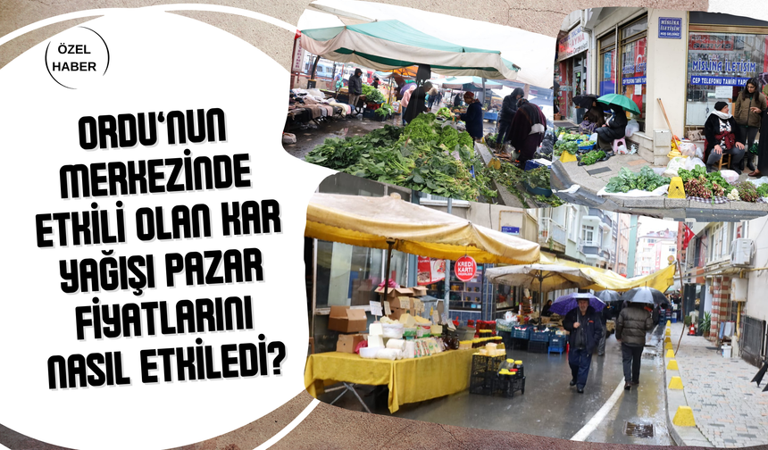 Ordu’nun Merkezinde Etkili Olan Kar Yağışı Pazar Fiyatlarını Nasıl Etkiledi?