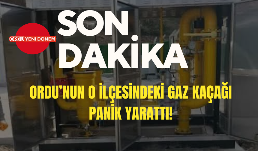 Ordu’nun O İlçesindeki Doğalgaz İstasyonunda Gaz Kaçağı Panik Yarattı!