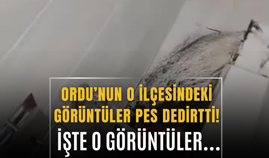 Ordu’nun O İlçesindeki Görüntüler Pes Dedirtti! İşte O Görüntüler…