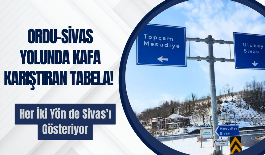 Ordu-Sivas Yolunda Kafa Karıştıran Tabela! Her İki Yön de Sivas’ı Gösteriyor