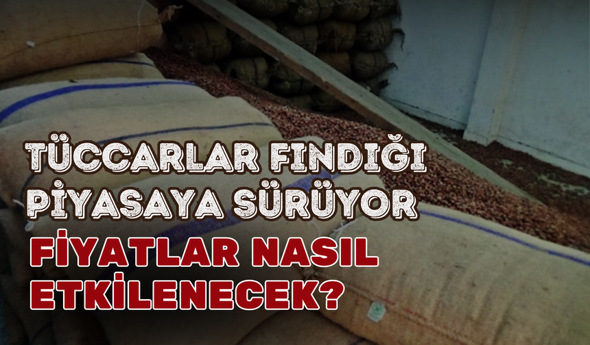 Tüccarlar Fındığı Piyasaya Sürüyor: Fiyatlar Nasıl Etkilenecek?