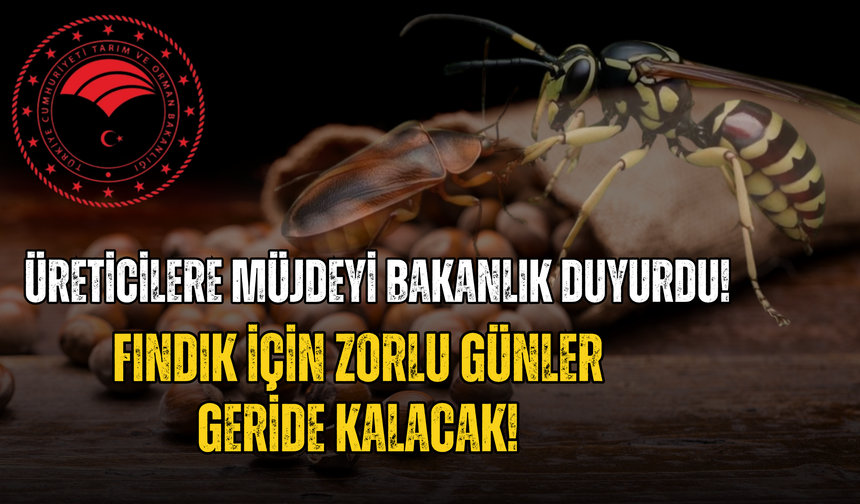 Üreticilere Müjdeyi Bakanlık Duyurdu! Fındık İçin Zorlu Günler Geride Kalacak!