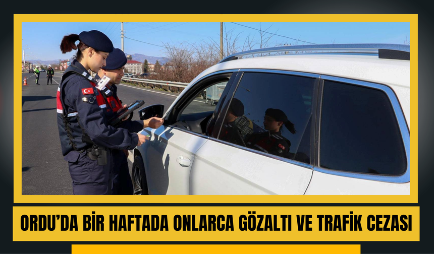Ordu’da Jandarma’dan Suç ve Suçlulara Geçit Yok!