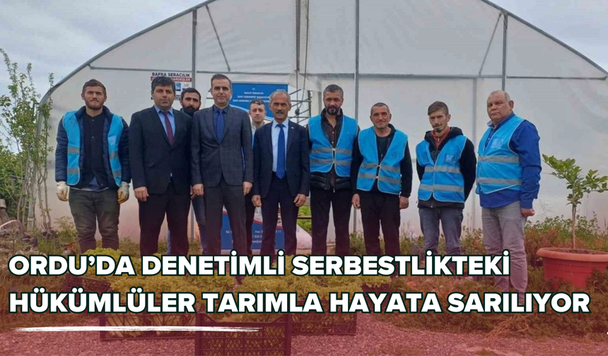 Ordu’da Denetimli Serbestlikteki Hükümlüler Tarımla Hayata Sarılıyor