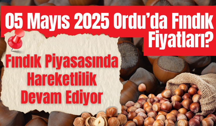 05 Mayıs 2025 Ordu’da Fındık Fiyatları?