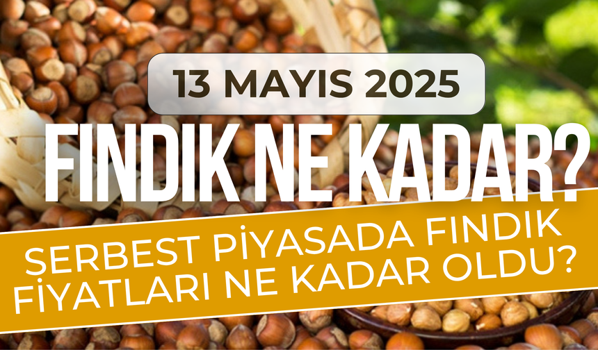 13 Mayıs 2025 Fındık Fiyatları? Serbest Piyasada Fındık Fiyatları Ne Kadar Oldu?