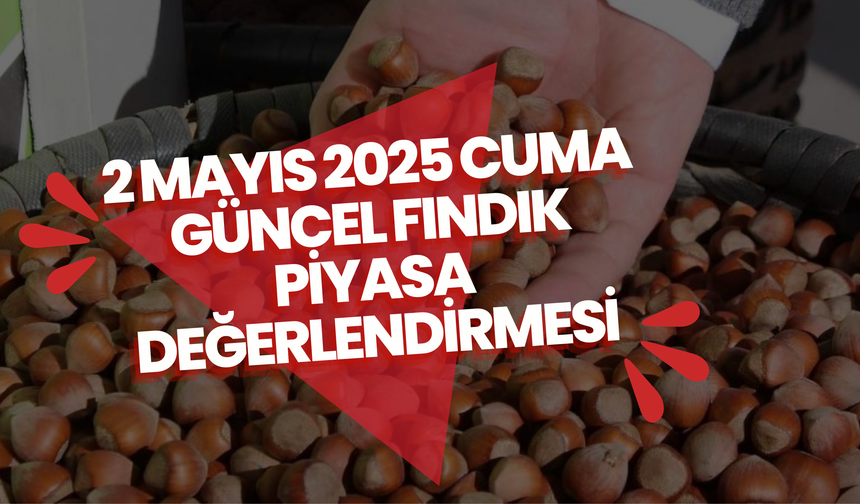 2 Mayıs 2025 Cuma - Güncel Fındık Piyasa Değerlendirmesi