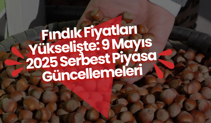 Fındık Fiyatları Yükselişte: 9 Mayıs 2025 Serbest Piyasa Güncellemeleri