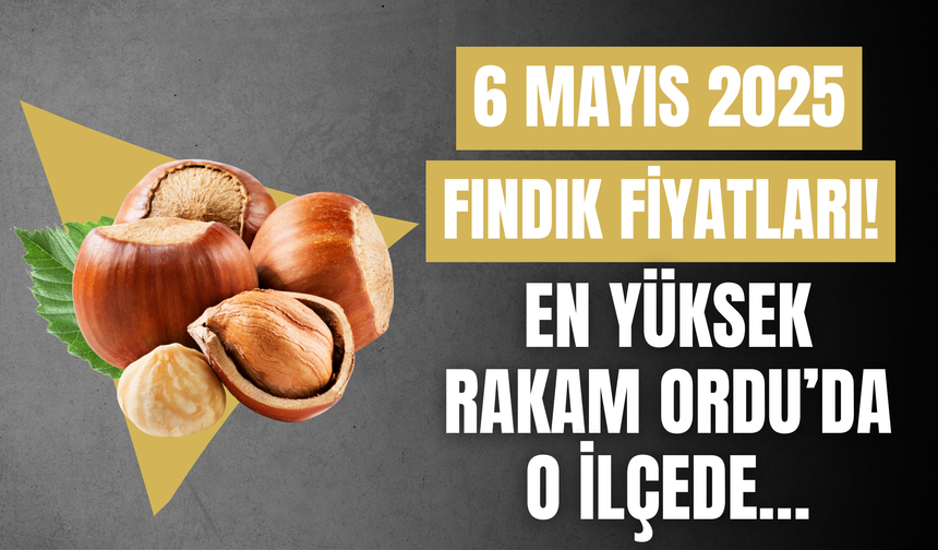 6 Mayıs 2025 Fındık Fiyatları! En Yüksek Rakam Ordu’da O İlçede…