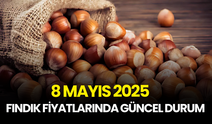 8 Mayıs 2025 Fındık Fiyatlarında Güncel Durum