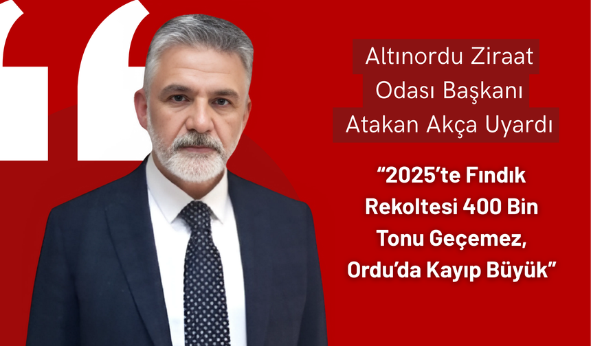 Atakan Akça Uyardı: “2025’te Fındık Rekoltesi 400 Bin Tonu Geçemez, Ordu’da Kayıp Büyük”