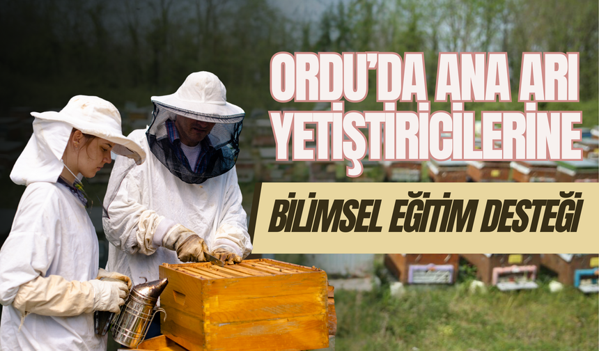 Ordu’da Ana Arı Yetiştiricilerine Bilimsel Eğitim Desteği
