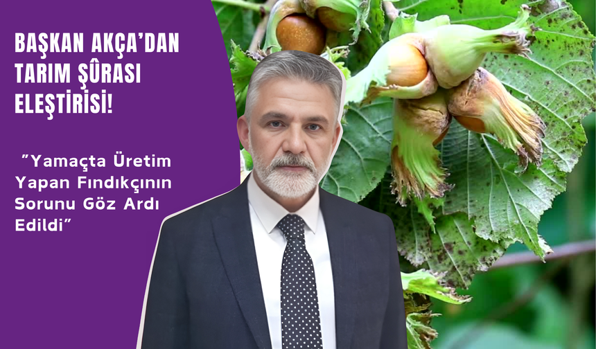 Başkan Akça’dan Tarım Şûrası Eleştirisi: “Yamaçta Üretim Yapan Fındıkçının Sorunu Göz Ardı Edildi” Altınordu Ziraat Odas