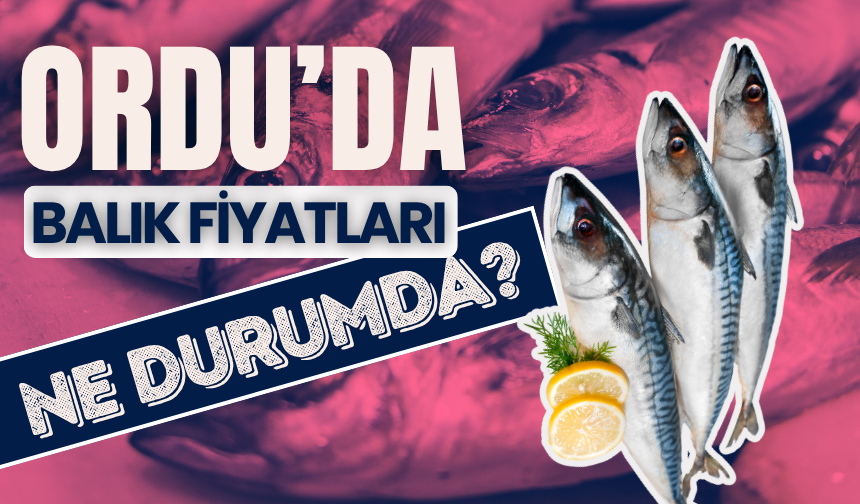 Altınordu'da Balık Tezgahları Şenlendi: Hamsi ve Kefal Bolluğu Vatandaşı Sevindirdi