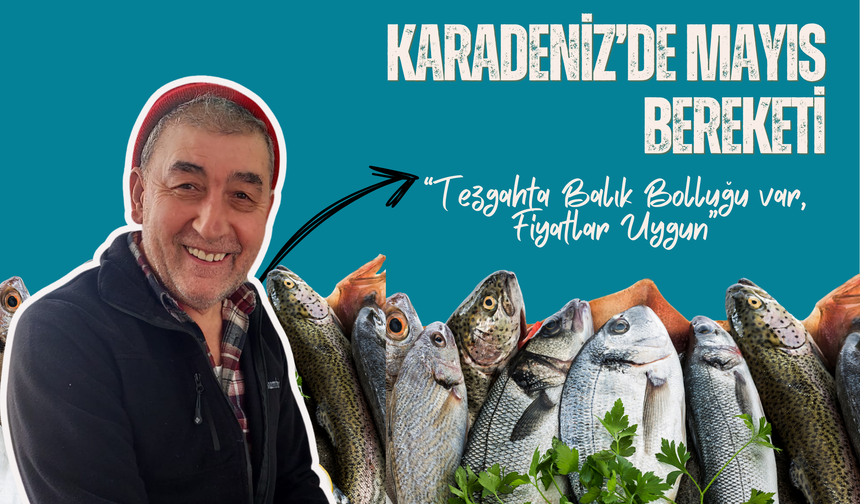Karadeniz’de Mayıs Bereketi: Cemil Türkmen “Tezgahta Balık Bolluğu, Fiyatlar Uygun”
