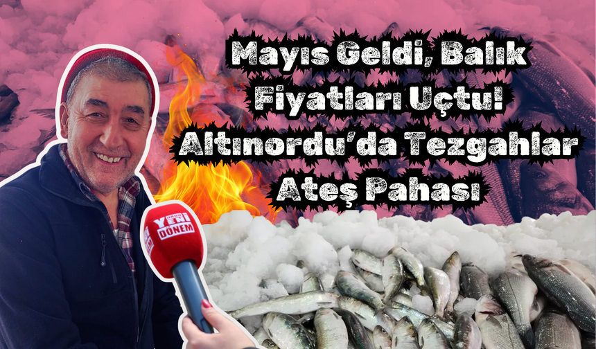 Mayıs Geldi, Balık Fiyatları Uçtu: Altınordu’da Tezgahlar Ateş Pahası