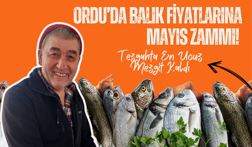 Ordu’da Balık Fiyatlarına Mayıs Zammı! Tezgahta En Ucuz Mezgit Kaldı