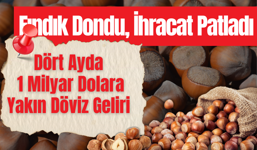 Fındık Dondu, İhracat Patladı: Dört Ayda 1 Milyar Dolara Yakın Döviz Geliri