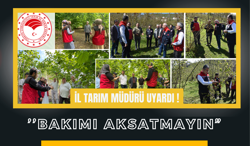 İl Tarım Müdürü Uyardı ’’Bakımı Aksatmayın”