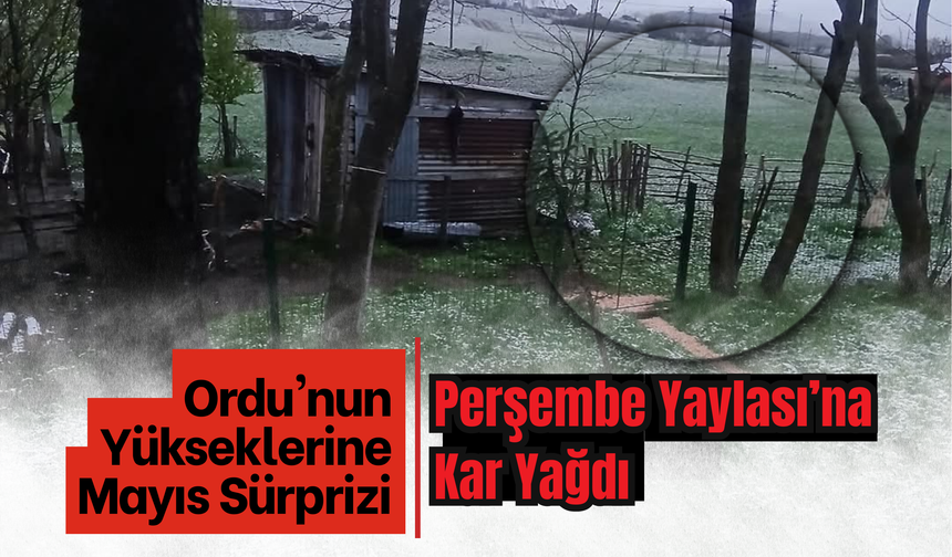 Ordu'nun Yükseklerine Mayıs Sürprizi: Perşembe Yaylası’na Kar Yağdı