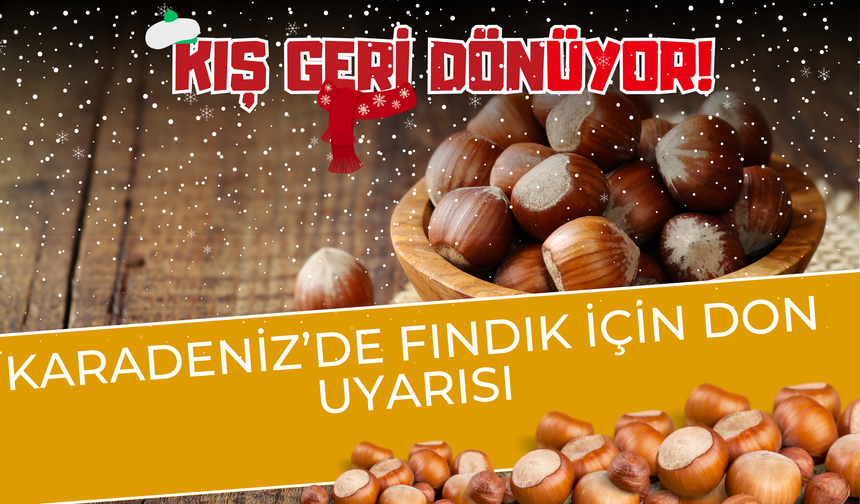 Kış Geri Döndü: Karadeniz’de Fındık İçin Don Uyarısı