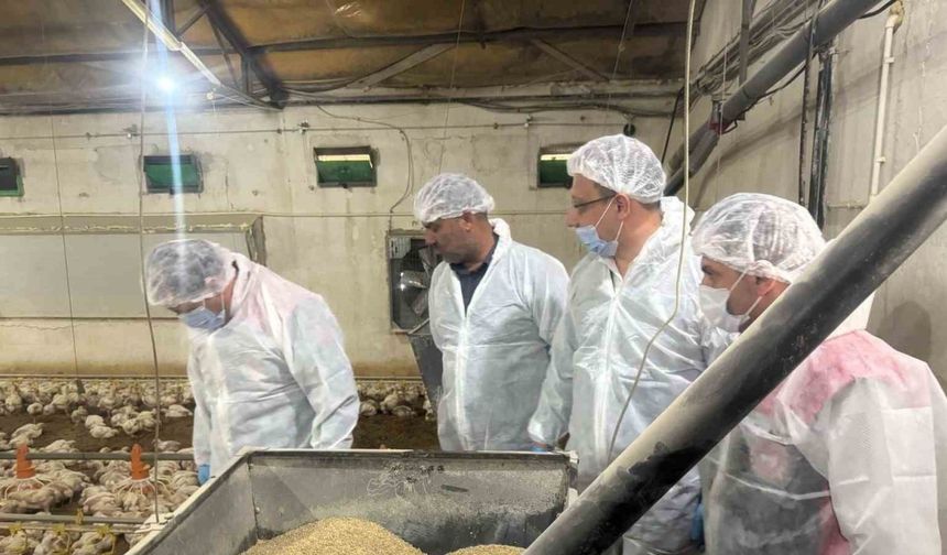 Mart ayında yıllık tavuk yumurtası üretimi yüzde 8,8 azaldı