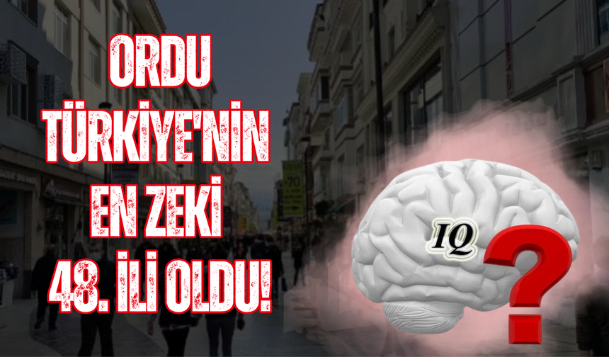 Ordu Türkiye'nin En Zeki 48. İli Oldu!