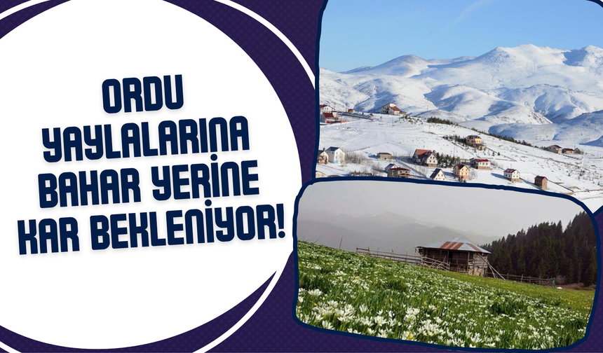 Ordu Yaylalarına Bahar Yerine Kar Bekleniyor!