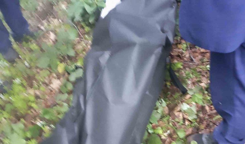 Ordu’da 1 aydır kayıp görme engelli yaşlı adam derede ölü bulundu