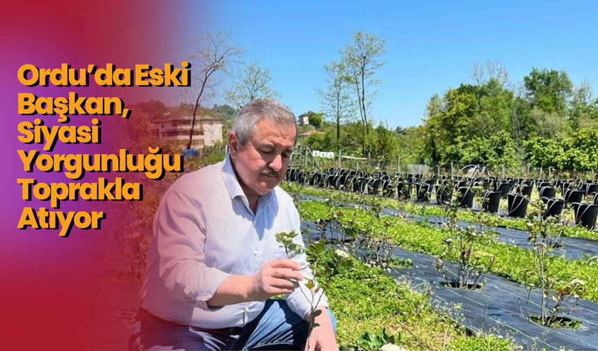 Ordu’da Eski Başkan, Siyasi Yorgunluğu Toprakla Atıyor