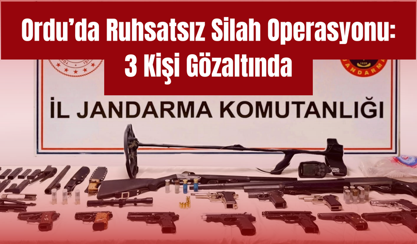 Ordu’da Ruhsatsız Silah Operasyonu: 3 Kişi Gözaltında