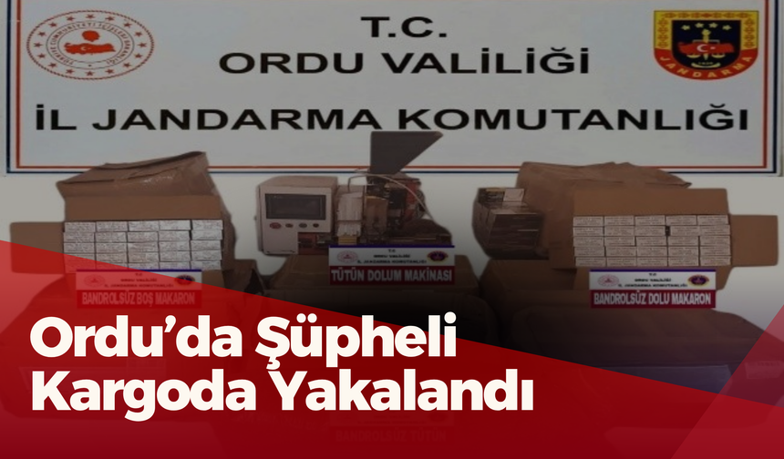 Ordu’da Şüpheli Kargoda Yakalandı