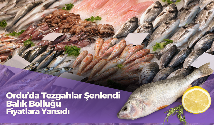 Ordu’da Tezgahlar Şenlendi: Balık Bolluğu Fiyatlara Yansıdı