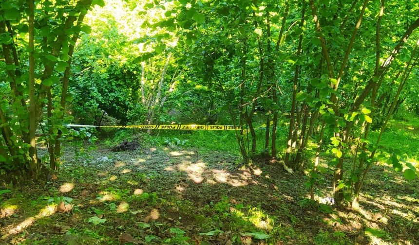Ordu’da yaşlı adam, fındık bahçesinde ölü bulundu