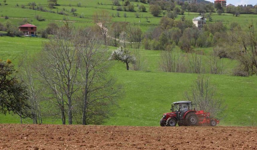 Ordu’nun atıl arazileri bereketleniyor: 34 bin 800 dekar atıl arazi tarıma kazandırıldı