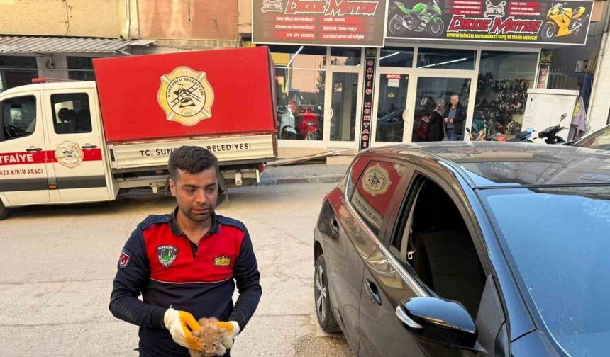 Otomobilin motor kısmına giren yavru kediyi itfaiye kurtardı