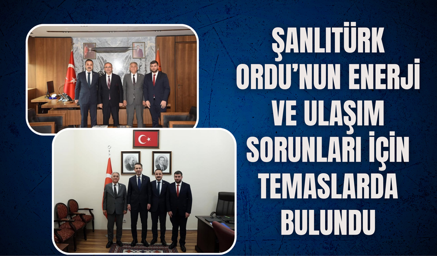 Şanlıtürk, Ordu’nun Enerji ve Ulaşım Sorunları İçin Temaslarda Bulundu