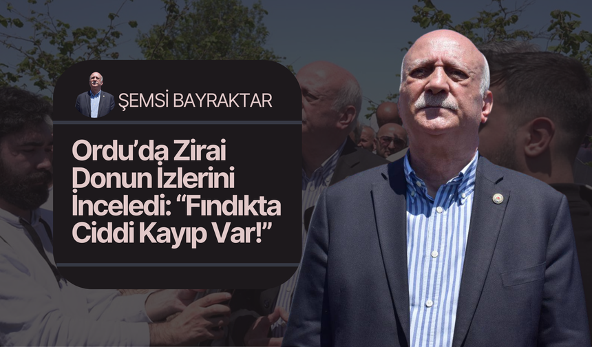 Şemsi Bayraktar Ordu’da Zirai Donun İzlerini İnceledi: “Fındıkta Ciddi Kayıp Var”