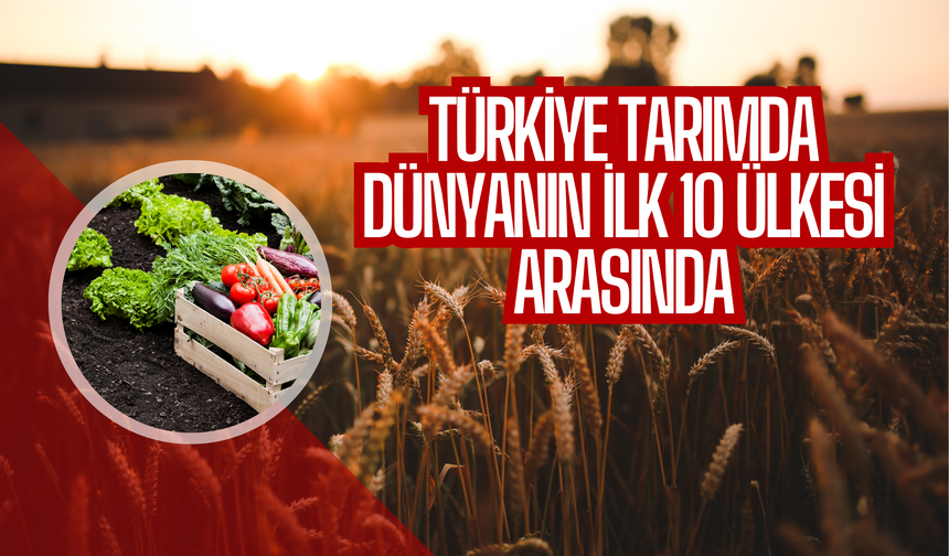 Türkiye Tarımda Dünyanın İlk 10 Ülkesi Arasında