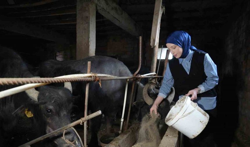 Ticari süt işletmelerince 1 milyon 15 bin 647 ton inek sütü toplandı