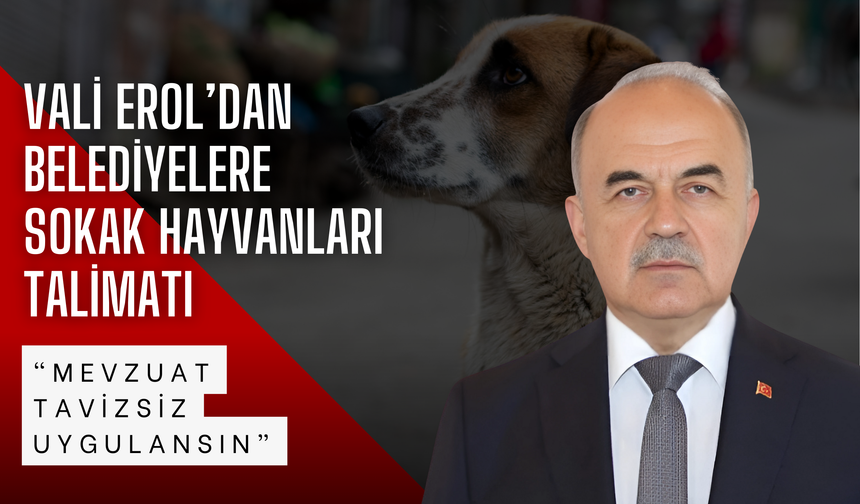 Vali Erol’dan Belediyelere Sokak Hayvanları Talimatı: “Mevzuat Tavizsiz Uygulansın”