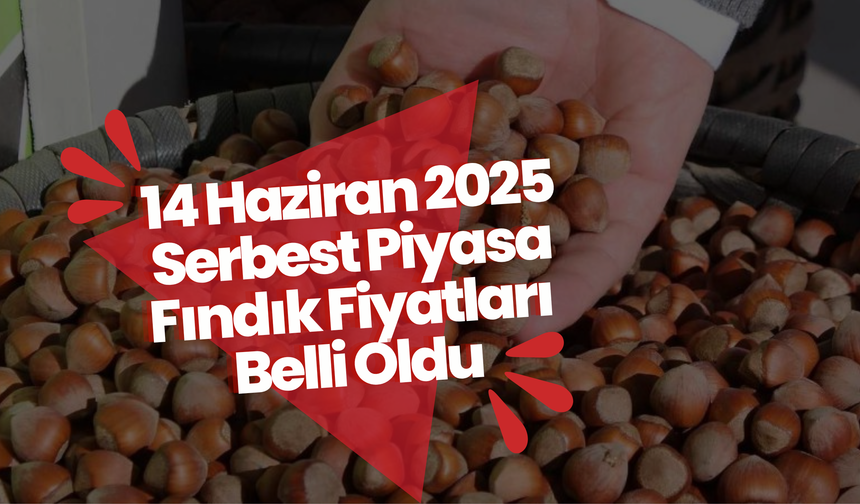 14 Haziran 2025 Serbest Piyasa Fındık Fiyatları Belli Oldu