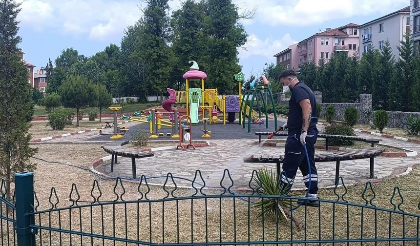 Bartın’da kene ile mücadele