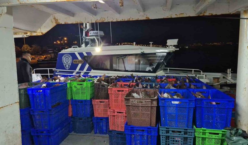 Samsun açıklarında 6 ton kaçak kalkan balığı ele geçirildi