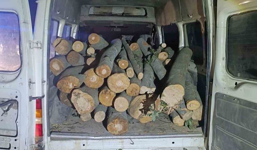 1 ton kaçak orman ürünü ele geçirildi