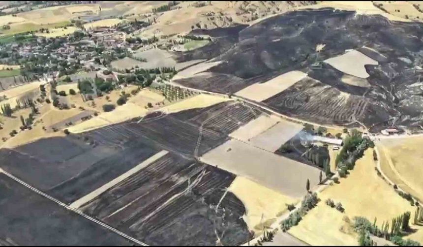 Amasya’da yanan 500 dönümlük alan havadan görüntülendi