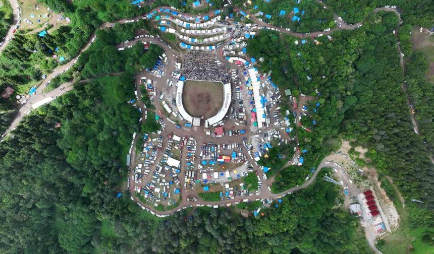 Artvin’in Kafkasör Yaylası’nda boğaların 44. randevusu nefes kesti