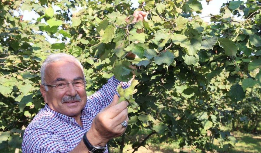 Başkan Güler’den Ferrero’ya karşı tarihi fındık mücadelesi: "Bu bir milli duruştur"